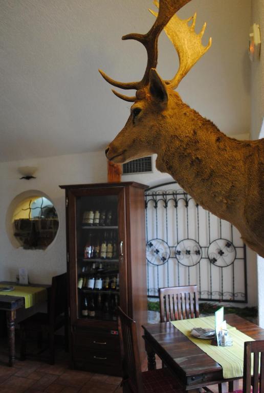 Hotel Allvet Drnovice  Zewnętrze zdjęcie
